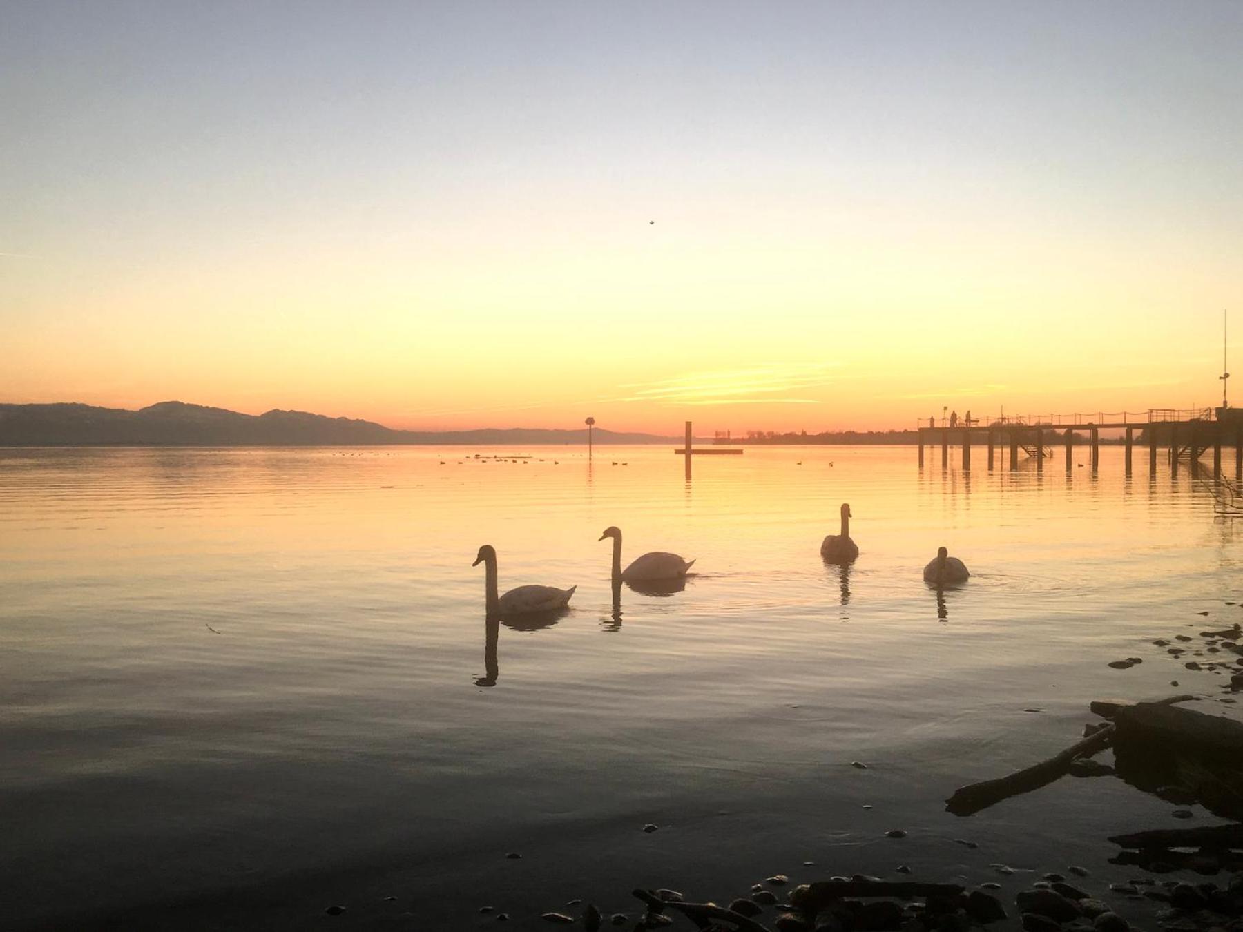 Ferienwohnung Insel-Ambiente Lindau  Kültér fotó